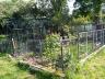 Filename: IMG_20210603_164836.jpg
Size: 564.25 KB
03-06-2021, 05:40 PM