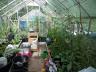Filename: gh1.JPG
Size: 266.56 KB
26-10-2025, 08:51 PM